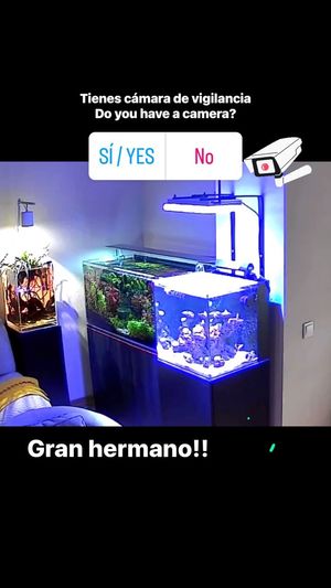 Video post by @aqualupi on Instagram