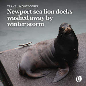 Image post by @theoregonian on Instagram