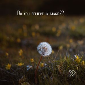 Image post by @leafyaffair on Instagram