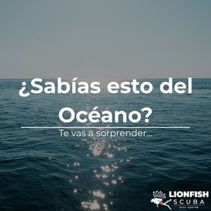 Image post by @lionfishscuba on Instagram
