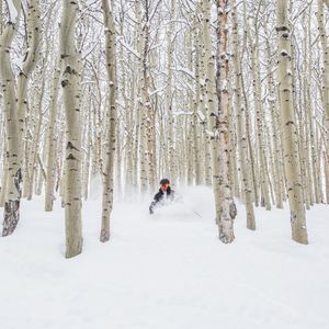 Image post by @beavercreek on Instagram