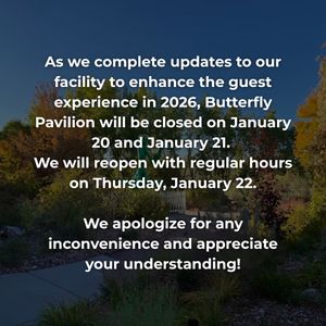 Image post by @butterflypavilion on Instagram