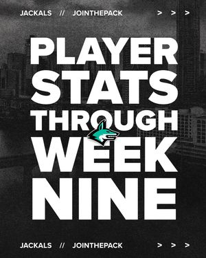 Image post by @dallasjackals on Instagram