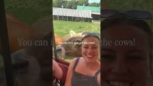 Video post by @bostonwithemily on YouTube