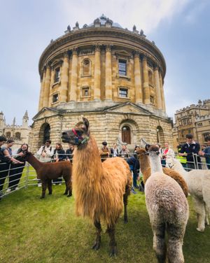 Image post by @oxford_uni on Instagram