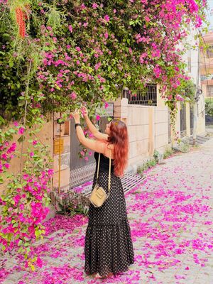 Image post by @anshikadixiit on Instagram