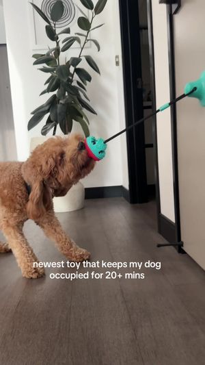 Video post by @tedflixnchill on TikTok