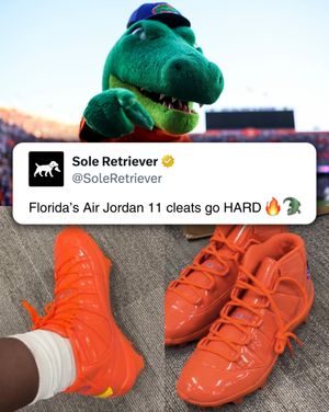 Image post by @soleretriever on Instagram