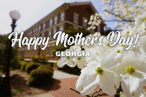 Image post by @uga_wbb on Instagram