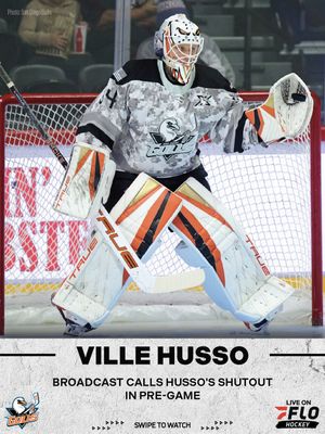 Image post by @flohockey on Instagram