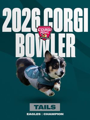 Image post by @littlestumpsracing on Instagram