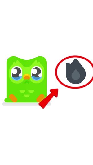 Video post by @duolingo on TikTok