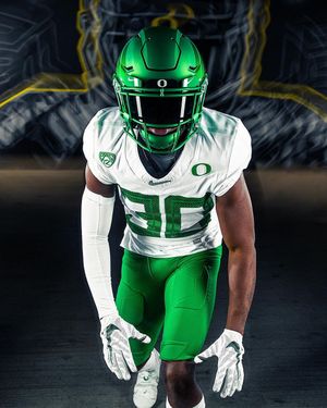 Image post by @goducks on Instagram