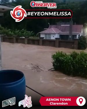 Image post by @jamaicaobserver on Instagram