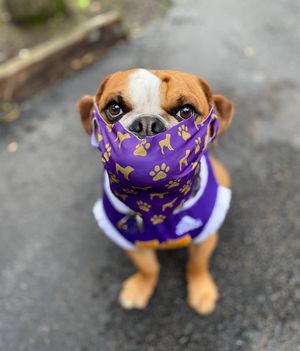 Image post by @westerniluniv on Instagram