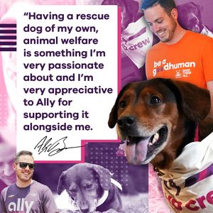 Image post by @allyracing on Twitter