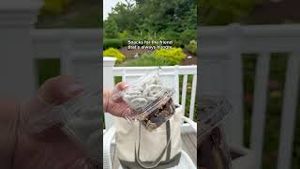 Video post by @claritin on YouTube