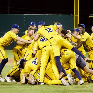 Image post by @TheSavBananas on Twitter