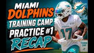 Video post by @dolphinstalk on YouTube