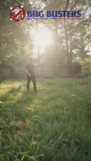 Video post by @bugbustersusa on TikTok