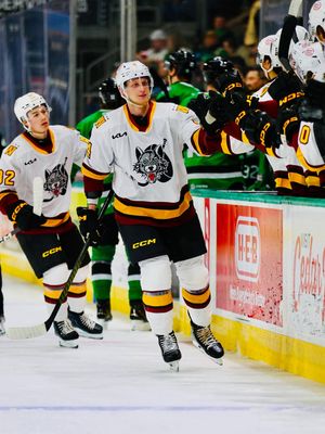 Image post by @chicagowolves on Instagram