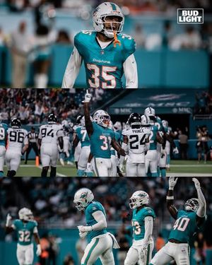 Image post by @miamidolphins on Instagram