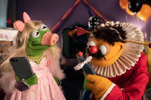 Image post by @kermitthefrog on Instagram