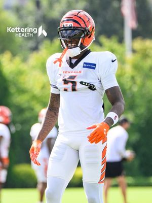 Image post by @bengals on Instagram