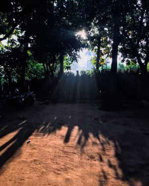Image post by @traveluvgrapher on Instagram