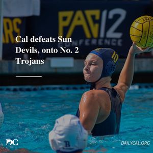 Image post by @dailycalsports on Instagram