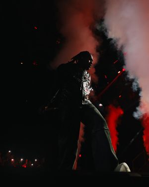 Image post by @thesolections on Instagram