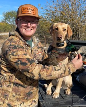 Image post by @okwildlifedept on Instagram