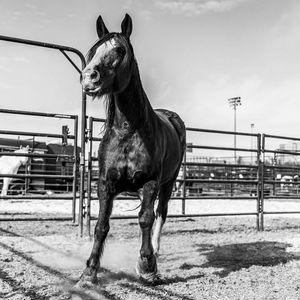 Image post by @TetonRidgeUSA on Facebook