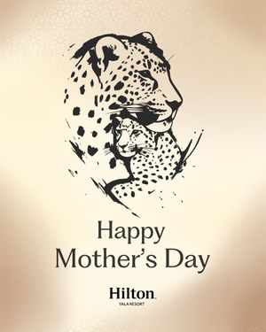 Image post by @hiltonyalaresort on Instagram