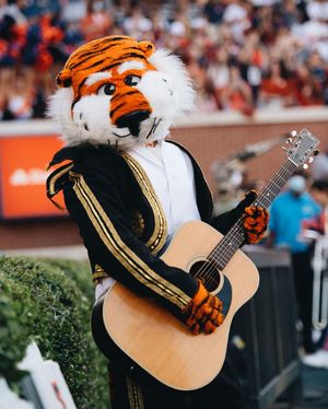 Image post by @aubiethetiger01 on Instagram