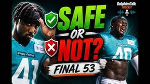 Video post by @dolphinstalk on YouTube
