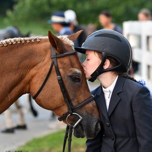 Image post by @kyhorseshows on Instagram
