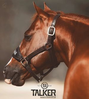 Image post by @TetonRidgeUSA on Facebook