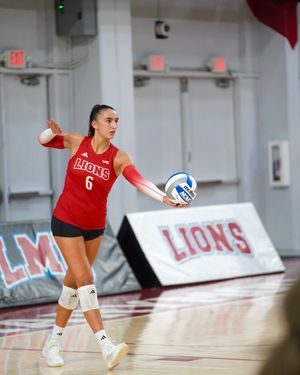 Image post by @lmulionswvb on Instagram