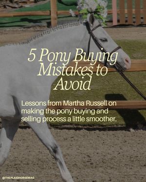 Image post by @theplaidhorsemag on Instagram