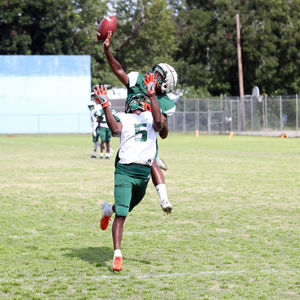 Image post by @famuathletics on Instagram