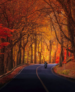 Image post by @tokyofotoawards on Instagram