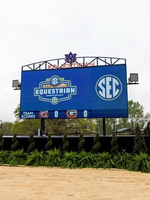 Image post by @sec on Instagram