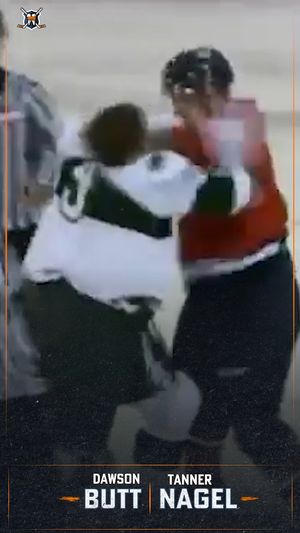 Video post by @hockeyfights on Instagram