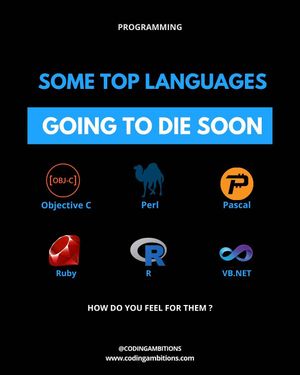 Image post by @codingambitions on Instagram