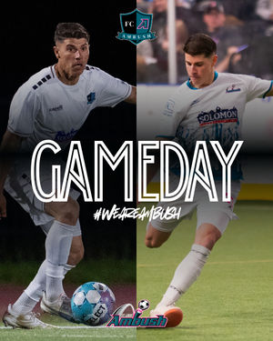 Image post by @stlouisambush on Instagram