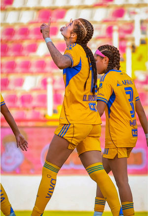 Video post by @clubtigresfemenil on TikTok