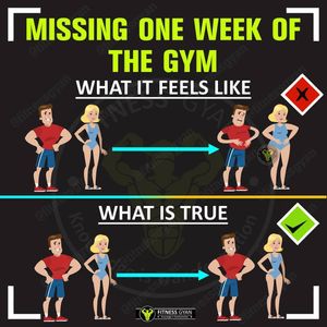 Image post by @thetrainingmanual on Instagram