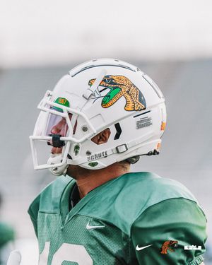 Image post by @famufb on Instagram