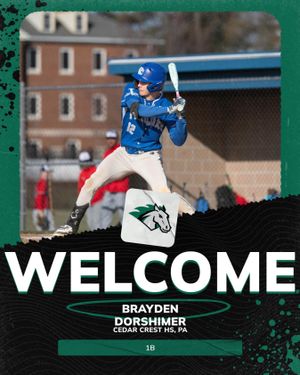 Image post by @stevensonbsb on Instagram